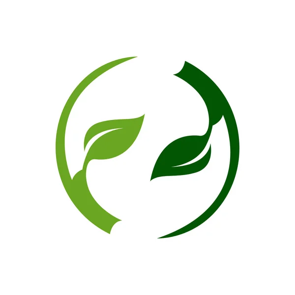 Abstrakte Kreis Grün Licht Dunkles Blatt Logo Vorlage — Stockvektor
