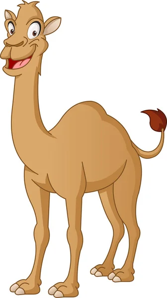 Camello Lindo Dibujos Animados Ilustración Vectorial Animal Feliz Divertido — Vector de stock