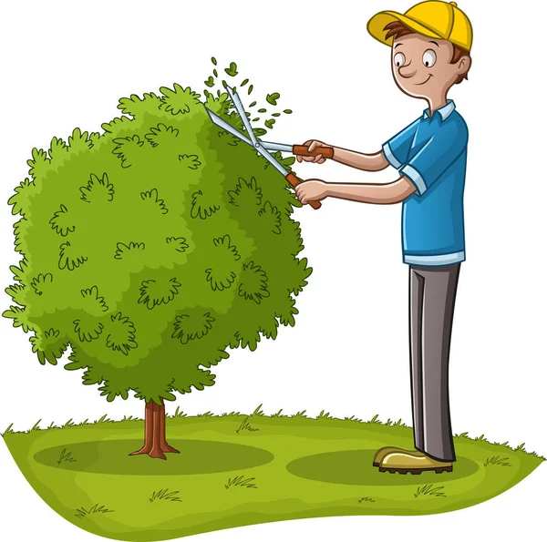 Cartoon Gardener Pruning Tree Man Working Garden — Stock Vector