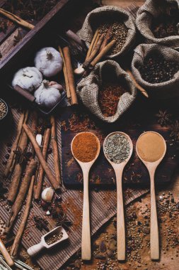 Coloful çeşitli baharat ve otlar doğal doku tahta kaşık ahşap plaka yandı.