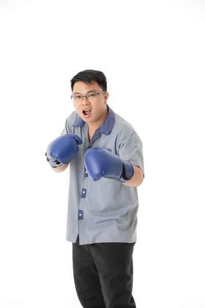 半长画像中年英俊的亚洲男子 戴着眼镜 身着蓝色皮拳击手套制服 象征商业战斗行动 看着相机 在孤立的白色背景 — 图库照片