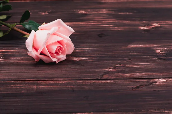 Valentine cartão de amor rosa fresca e coração em madeira — Fotografia de Stock