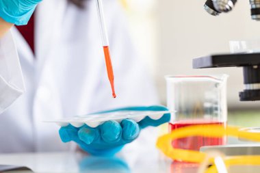 Bilim adamı örnek tepsiye sıvı bırakarak