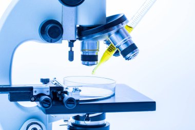 Mikroskop ve sarı damlalık çekim yakın çekim