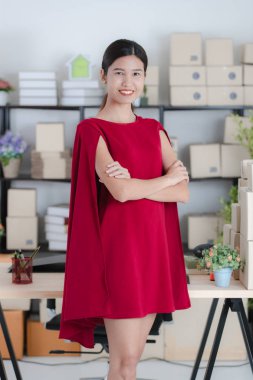 Ev ofisinde çalışan genç bayan