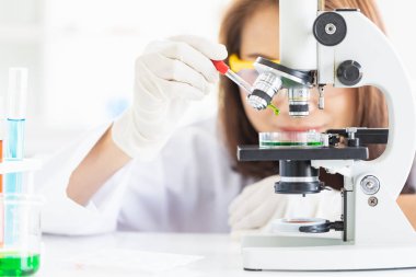 Bilim adamı petri kabına sıvı bırakarak