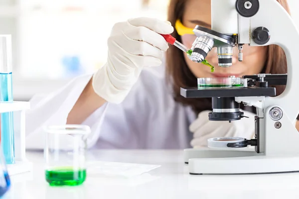 Bilim adamı petri kabına sıvı bırakarak