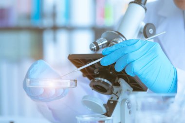 Bilim adamları deneyi için örnekler topladılar..