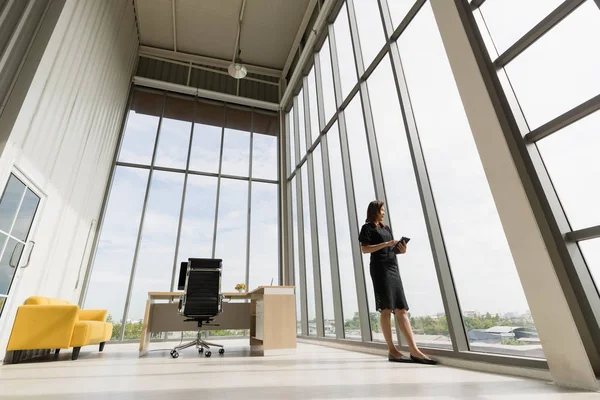 Bilgisayarın yan görüntüsü, iş kadını var.