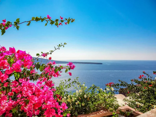 Мбаппе Расцвел Видом Синее Море Фира Санторини Греция — стоковое фото