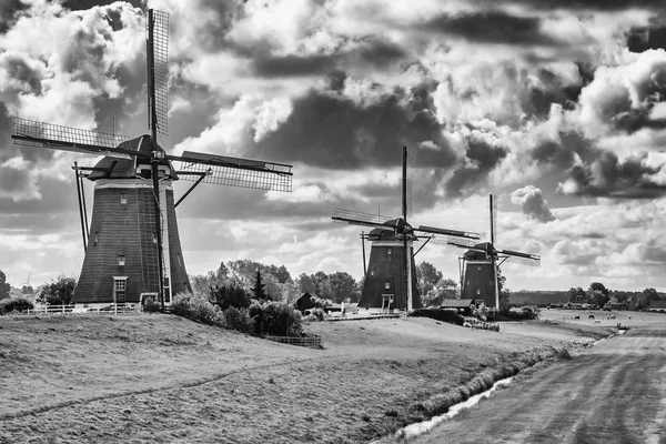 Trois Moulins Vent Leidschendam Noir Blanc — Photo