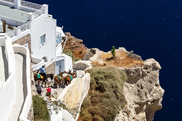 merdiven Oia Santorini Yunanistan azalan eşekler