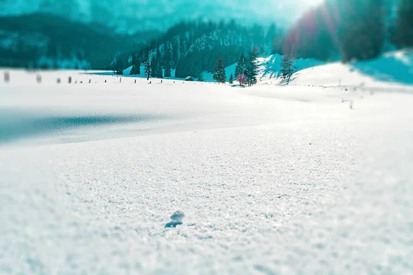 在奥地利山谷中 雪花像钻石一样闪闪发光 — 图库照片