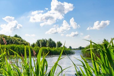Güzel bulutların üzerinde göl kıyısında