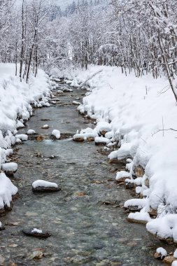 Kar Flachau Avusturya yakınındaki dağ dere