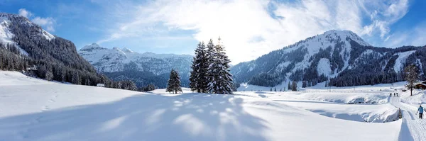 奥地利胡和顿Gnade Alm阳光灿烂的越野滑雪道全景 — 图库照片