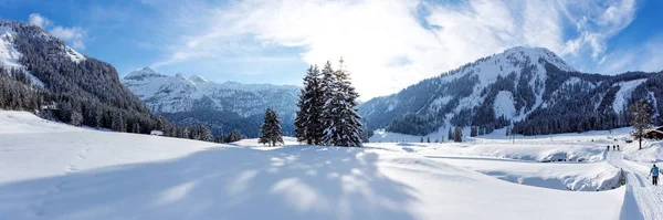 Gnade Alm, Hohe Tauern, Avusturya 'da güneşli bir kayak pisti.