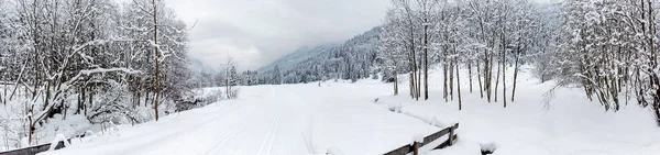 全景越野滑雪小径附近的 Flachau 奥地利 — 图库照片