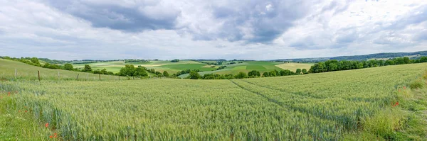 Panorama güzel Limburg manzara haddeleme