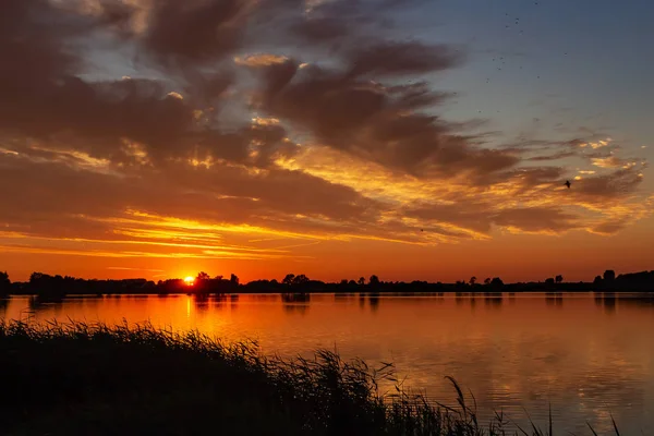 Prachtige Wolken Boven Het Riet Tijdens Zonsondergang Lake Zoetermeerse Plas — Stockfoto