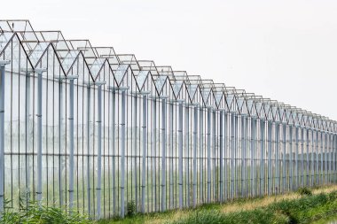Sera inşaat yakınındaki Zoetermeer-2, Hollanda