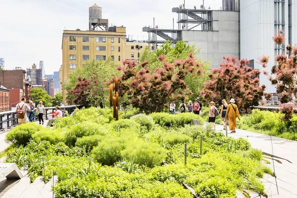 Güzel ağaçlar ve bitkiler yüksek hat Park, New York, ABD