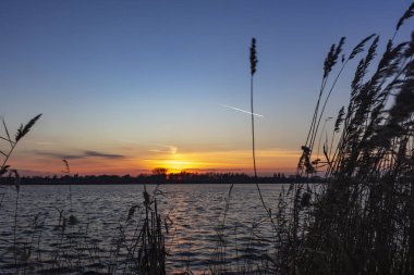 İnci gibi gökyüzü kalıntıları görülebilir ve göl Zoetermeerse plas Zoetermeer, Hollanda kamışı yukarıda gökyüzü güzel renkler