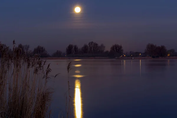 Zoetermeer, Hollanda Zoetermeerse plas suda yansıyan soğuk şafak sırasında ay süper.