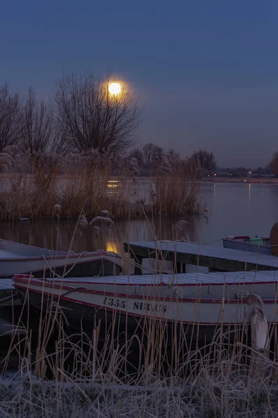 The super Moon sinks during the cold dawn slowly towards the horizon behind the trees and the boats