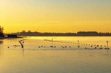 Göl Zoetermeerse plas suyun üstünde güneş doğar iken hava sarı döner