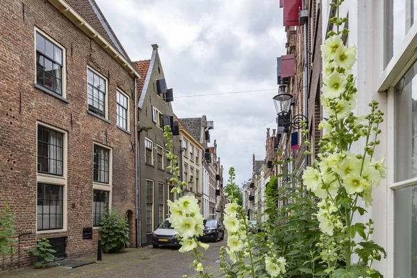 Beautiful Old Buildings Historic Deventer Mensstraat Netherlands — Stock Photo, Image