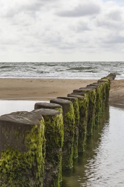 Bir satır plaj Beach Island Ameland deniz yosunu ile mesaj