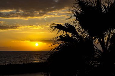 Güzel bir gün batımı sahil veya Costa Adeje ile bir palmiye ağacı ön planda ve mesafede anahat, ada, La Gomera, Tenerife, İspanya