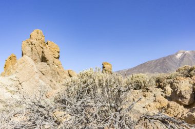 Bodur volkan ada Tenerife, İspanya El Teide taşlara çevresinde pürüzlü