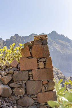 Masca çevresindeki dağlarda kaktüsler arasında bir taş duvar kalıntıları, Tenerife, İspanya