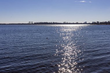 Güneş ışığı Zoetermeer, Hollanda 'Zoetermeerse plas' gölünün su üzerinde yıldız binlerce olarak yansıtılır