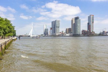 Maas Nehri rıhtımı ve Erasmus köprüsündeki heybetli binaların manzarası