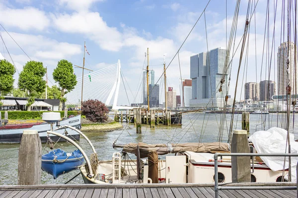 Rotterdam Daki Erasmus Köprüsündeki Heybetli Binalarda Bir Yelkenli Geminin Halatlarından — Stok fotoğraf