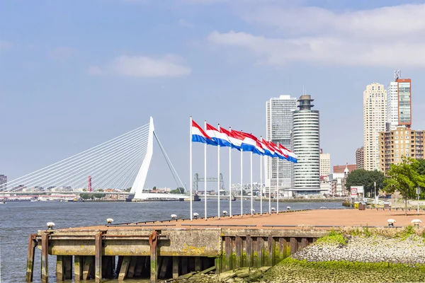 Arka Planda Rotterdam Erasmus Köprüsü Ile Katendrecht Yarımadasının Başında Hollanda — Stok fotoğraf