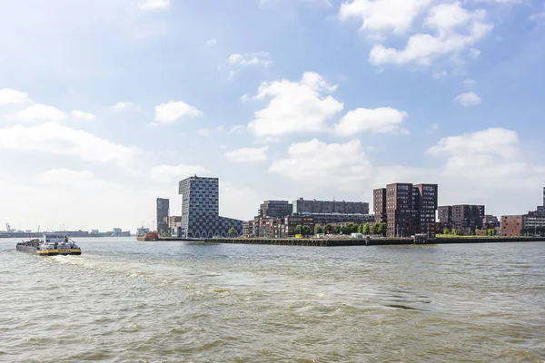 Maas Nehri Üzerinde Bir Kargo Teknesi Hollanda Denizcilik Üniversitesi Binasından — Stok fotoğraf
