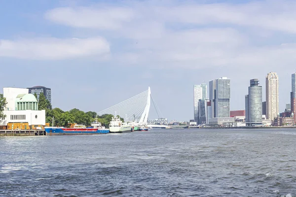 Çevredeki Binalarile Erasmus Köprüsü Üzerinde Maas Nehri Görünümü — Stok fotoğraf
