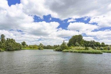 Beyaz bulutlar ile güzel bir mavi gökyüzü altında sulu Milli Parkı Biesbosch, Hollanda