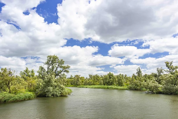 Jeden Wielu Kursów Wodnych Parku Narodowego Biesbosch Pod Pięknym Błękitnym — Zdjęcie stockowe