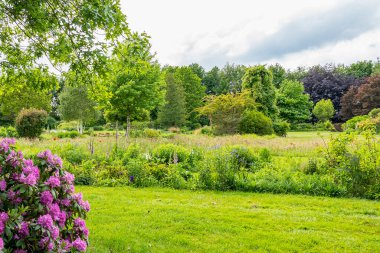 Groningen 'deki Harkstede köyünün yakınlarındaki güzel bir bahçede, çiçek açan bitkiler ve çok çeşitli ağaç ve çalılarla dolu bir manzara.