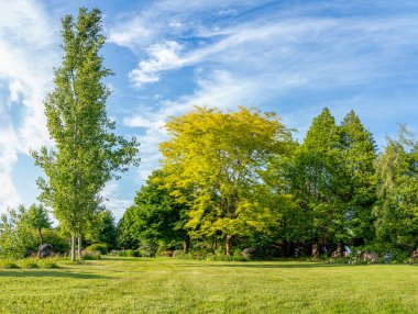 Groningen 'in Harkstede köyü yakınlarındaki ağaçların ve çiçek açan çalıların bulunduğu güzel bir bahçedeki ağaçların farklı şekillerde ve yaprak tonlarında panorama fotoğrafı.