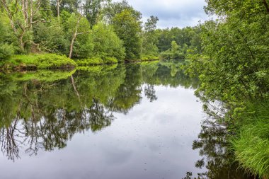 Hollanda, Vught yakınlarındaki sularda güzel bir yansıması olan güzel bir bitki örtüsü olan küçük bir göle bakın..