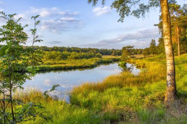 Batan güneşin parıltısı Hollanda, Strijbeek yakınlarındaki Patersmoer Gölü çevresindeki bitki örtüsüne yayılır.