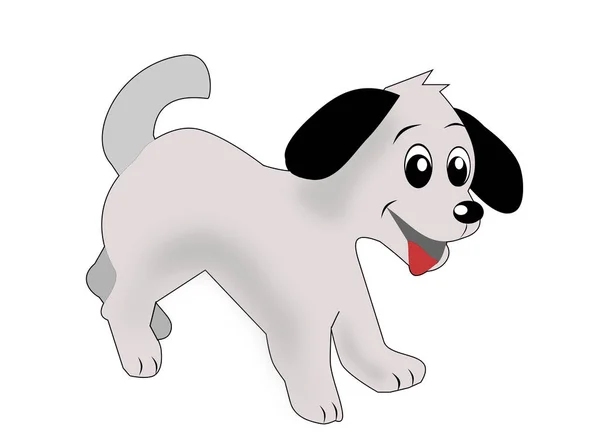 Смішний Сірий Собака Щасливим Обличчям Біжить Язиком Висить Його Рота — стокове фото