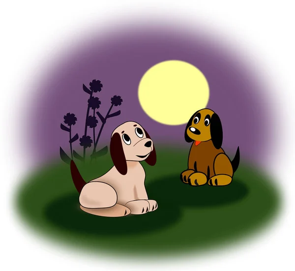 两只小狗坐在月光下 一个是灰色的 另一个是棕色的 — 图库照片
