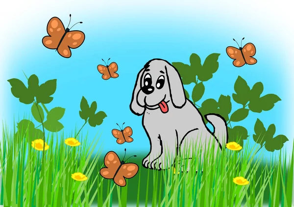 Dog Sitting Flowers Watching Butterflies — Stock Photo, Image